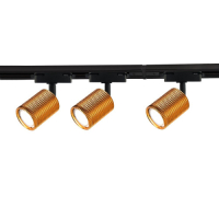 Трековые системы